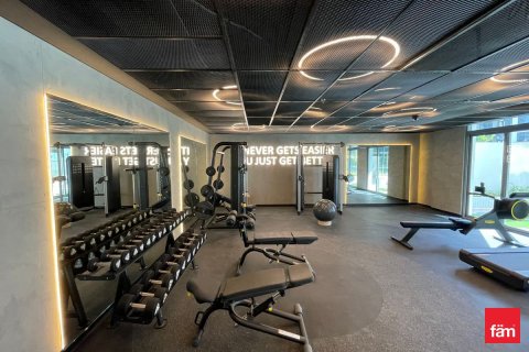 2 bedrooms Apartment in Dubai, UAE No. 115941 27