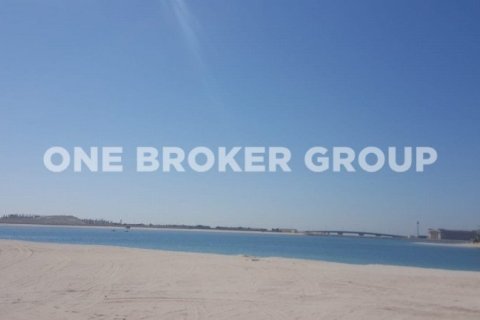 733.9m² Land in Palm Jumeirah, UAE No. 354 9