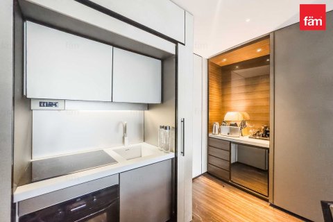 1 bedroom Apartment in Downtown Dubai (Downtown Burj Dubai), UAE No. 161716 14