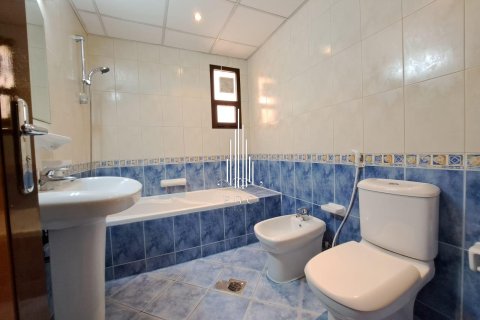 Villa de 4 dormitorios en Al Dhafrah, UAE No. 22620 24