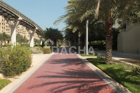 1 bedroom Apartment in Shoreline Apartments, UAE No. 155660 11