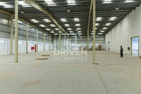 2759.78m² Warehouse in Jebel Ali, UAE No. 193848 10