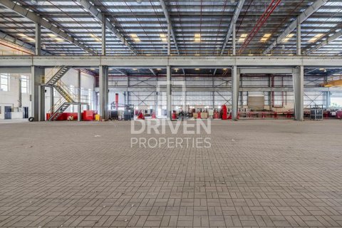 4491.58m² Warehouse in Jebel Ali, UAE No. 193852 11