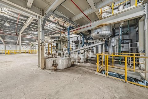 3251.61m² Land in Jebel Ali, UAE No. 193849 20