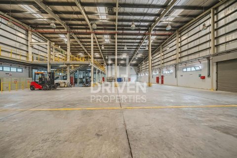 3251.61m² Land in Jebel Ali, UAE No. 193849 12