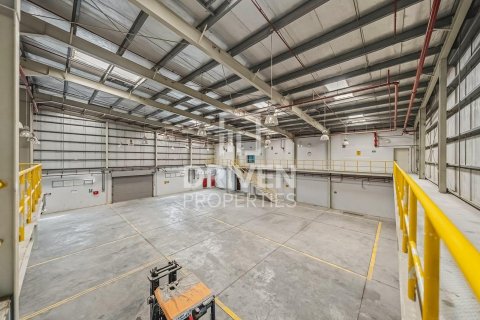 3251.61m² Land in Jebel Ali, UAE No. 193849 19