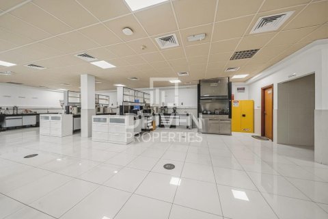 3251.61m² Land in Jebel Ali, UAE No. 193849 4