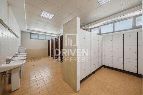3251.61m² Land in Jebel Ali, UAE No. 193849 18