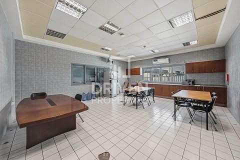 3251.61m² Land in Jebel Ali, UAE No. 193849 6