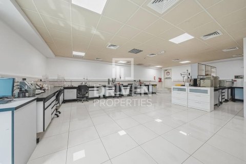 3251.61m² Land in Jebel Ali, UAE No. 193849 3