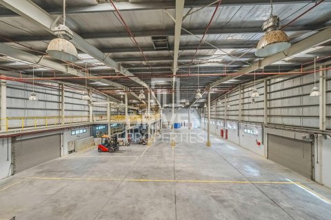 3251.61m² Land in Jebel Ali, UAE No. 193849 13