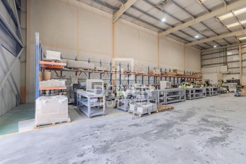 2393.37m² Warehouse in Jebel Ali, UAE No. 193851 9