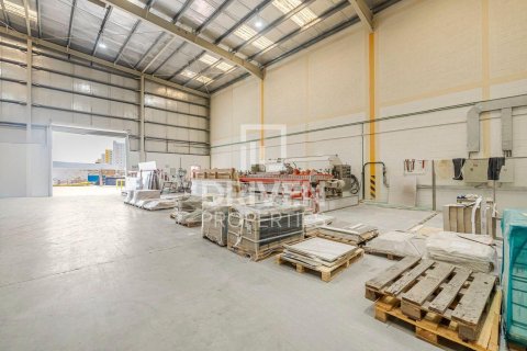 2393.37m² Warehouse in Jebel Ali, UAE No. 193851 19