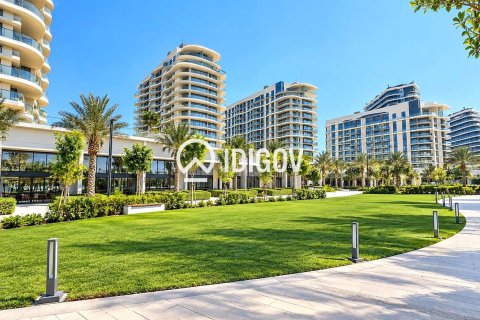1 bedroom Apartment in Mina Al Arab, UAE No. 209053 13