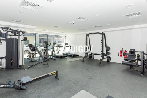 Appartement de Studio à District 10, UAE No. 184570 12