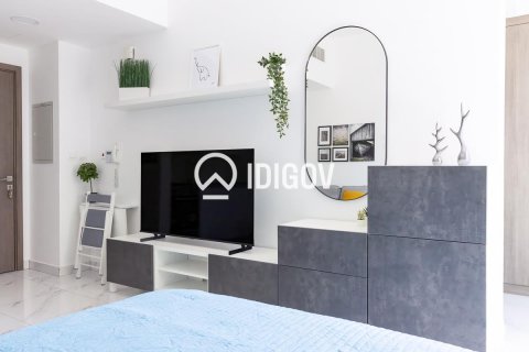 Appartement de Studio à District 10, UAE No. 184570 6