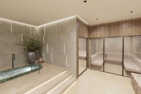 47m² Apartment on the Yas Island, UAE No. 23324 13