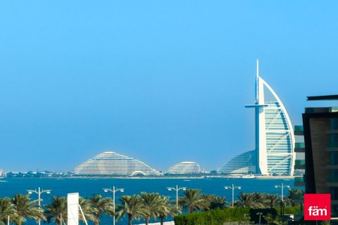 Квартира с 1 спальней №120300 21