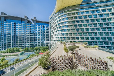 34مربع، شقة رقم 128393 17