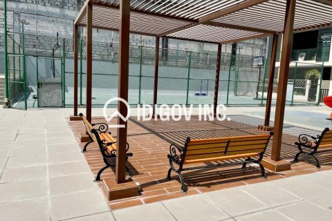 Квартира с 1 спальней в District 10, ОАЭ №136262 16