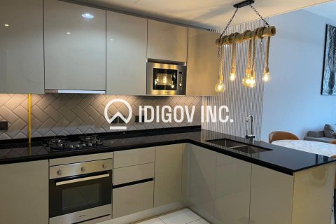 Квартира с 1 спальней в District 10, ОАЭ №136262 9