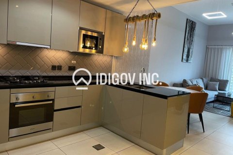 Квартира с 1 спальней в District 10, ОАЭ №136262 5