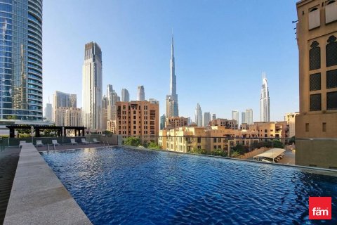 Квартира с 1 спальней в Даунтаун Дубай (Даунтаун Бурдж Дубай), ОАЭ №146095 12