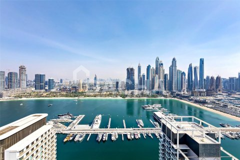 Квартира с 2 спальнями в EMAAR Beachfront, ОАЭ №162060 16