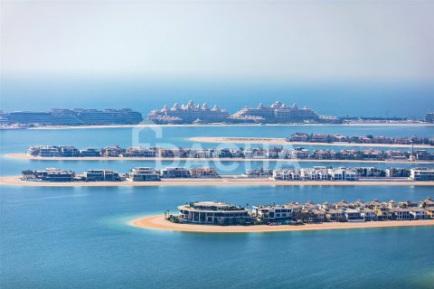Квартира с 2 спальнями в EMAAR Beachfront, ОАЭ №162060 12