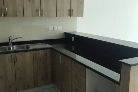 Appartement de 2 chambres à Dubai, UAE No. 97405 11