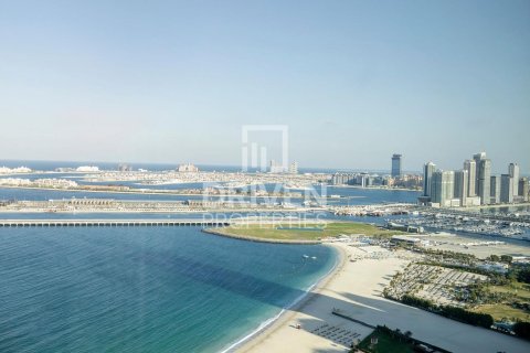 استوديو شقة في مساكن شاطئ جميرا, الإمارات العربية المتحدة رقم 202526 13