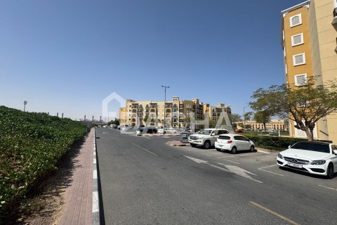 استوديو شقة في International City, الإمارات العربية المتحدة رقم 170281 13