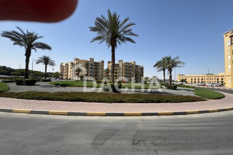 استوديو شقة في International City, الإمارات العربية المتحدة رقم 170281 8