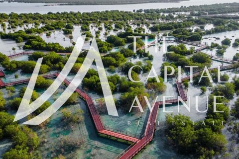 Земельный участок 704м² в Al Hudayriat Island, ОАЭ №136920 4