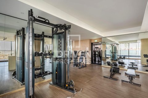 2 bedrooms Apartment in District 10, UAE No. 200055 3
