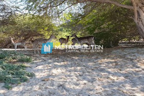 Земельный участок 756.2м² №120275 4