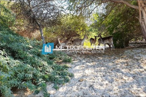 Земельный участок 756.2м² №120275 8