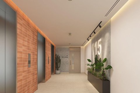 1 bedroom Apartment in HADLEY HEIGHTS   No. 108875 14