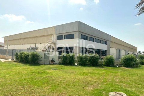 3900m² Warehouse in Sharjah Airport Freezone (SAIF), UAE No. 16323 1