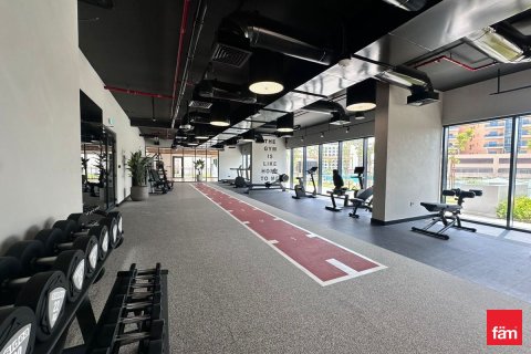 1 bedroom Apartment  No. 117554 14