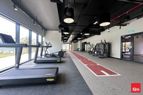 1 bedroom Apartment  No. 117554 13