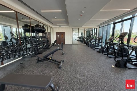 42.8m² Apartment in Dubai Science Park, UAE No. 169255 21