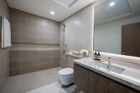 3 غرف نوم شقة في Dubai Festival City, الإمارات العربية المتحدة رقم 204889 11