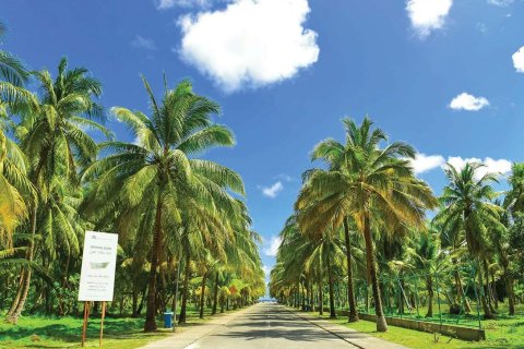 1 غرف نوم شقة رقم 124204 4