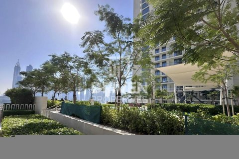 2 bedrooms Apartment in EMAAR Beachfront, UAE No. 192910 18