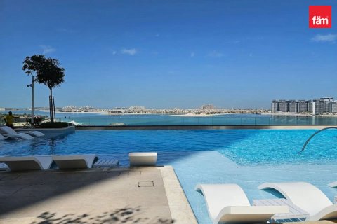 Appartement de 1 chambre à Dubai Harbour, UAE No. 203072 15