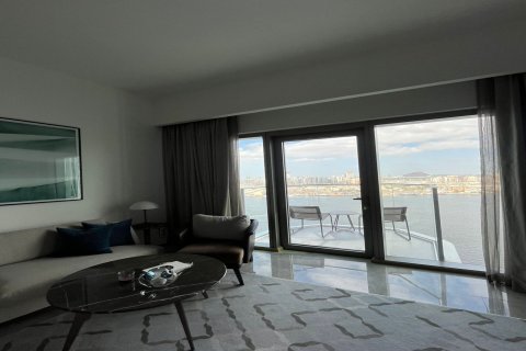 1 bedroom Apartment in Al Wasl, UAE No. 183252 5