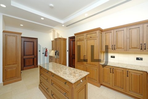 5 bedrooms Villa on the Saadiyat Island, UAE No. 101987 21