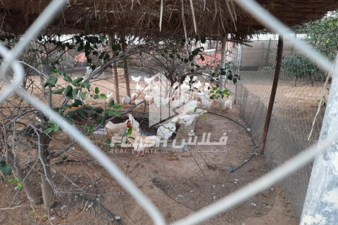 Земельный участок 18581м²  №124526 5