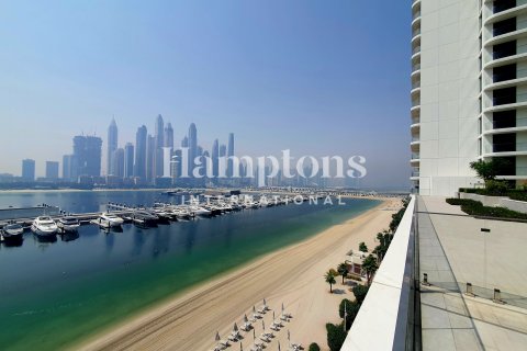 3 bedrooms Apartment in Dubai Harbour, UAE No. 165132 14